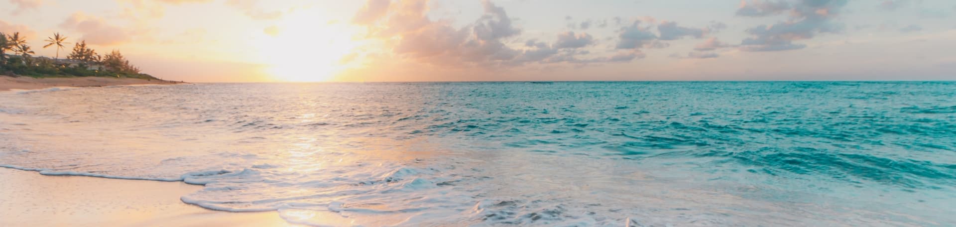 An image with expat international header